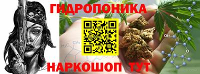 не бодяженный Заводоуковск
