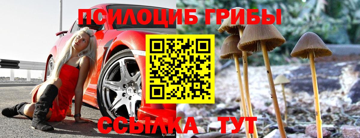 Малоярославец  Галлюциногенные грибы Psilocybine cubensis  Вход с VPN 